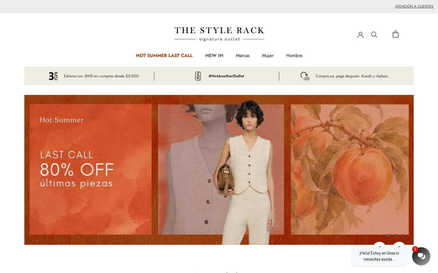 thestylerack.com.mx homepage screenshot