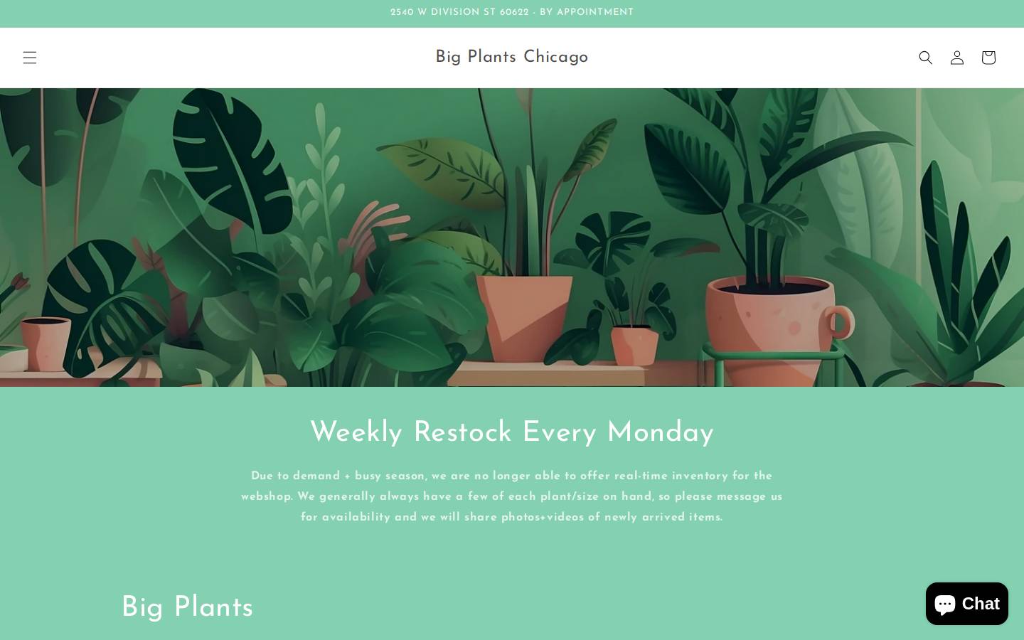 thesucculentcity.com homepage screenshot