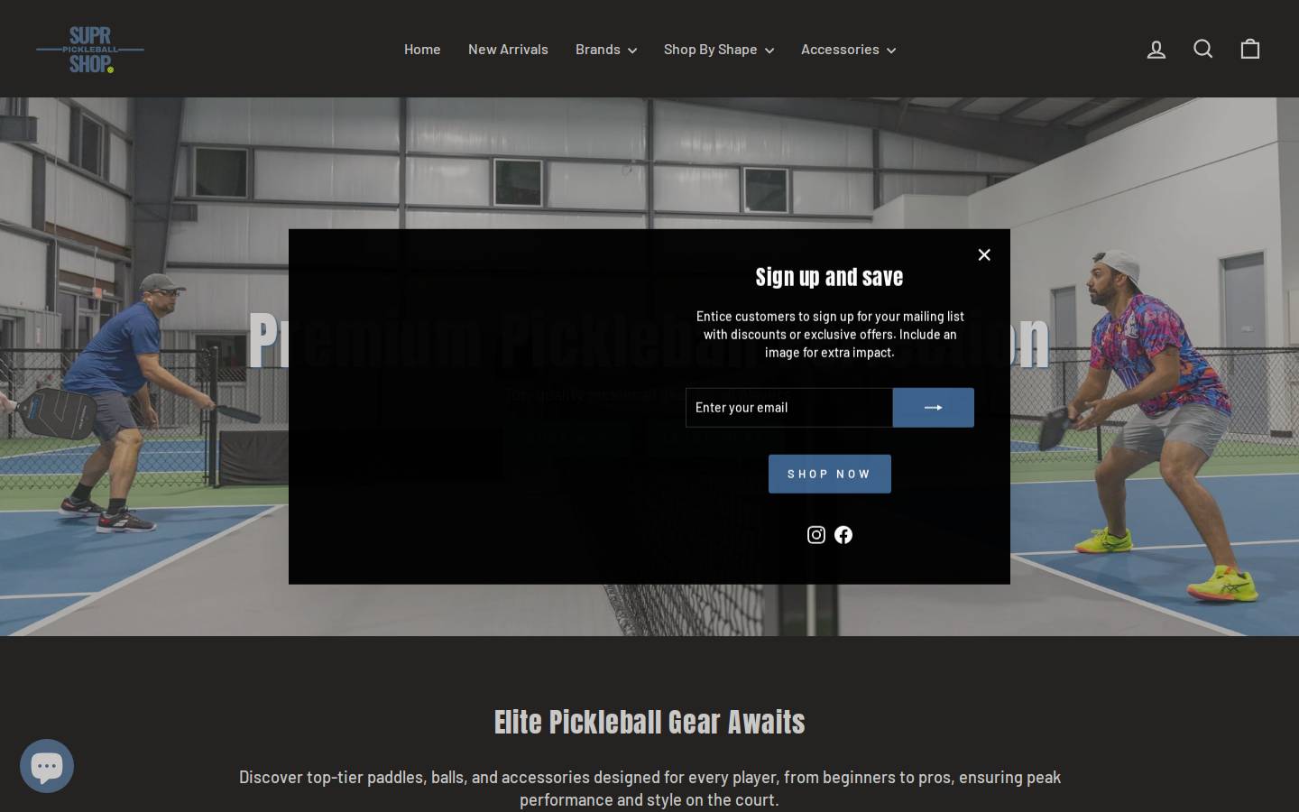 thesuprpickleballshop.com homepage screenshot