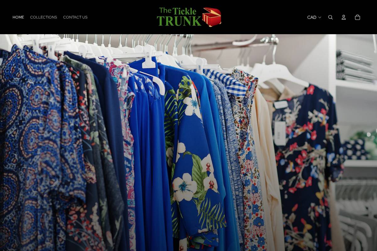 thetickletrunknl.online homepage screenshot