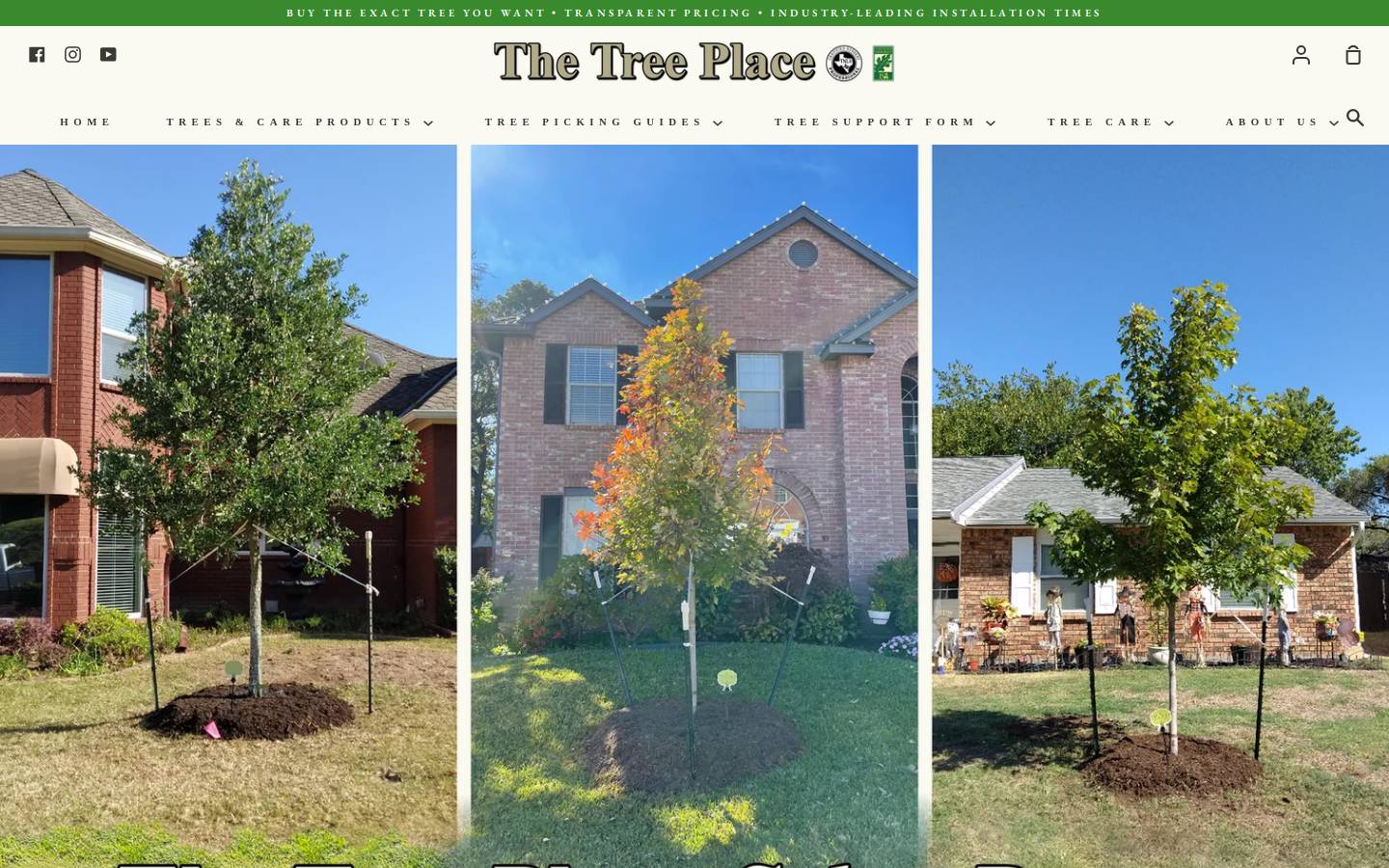 thetreeplace.com homepage screenshot