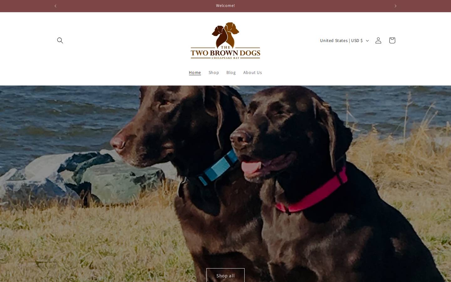 thetwobrowndogs.com homepage screenshot