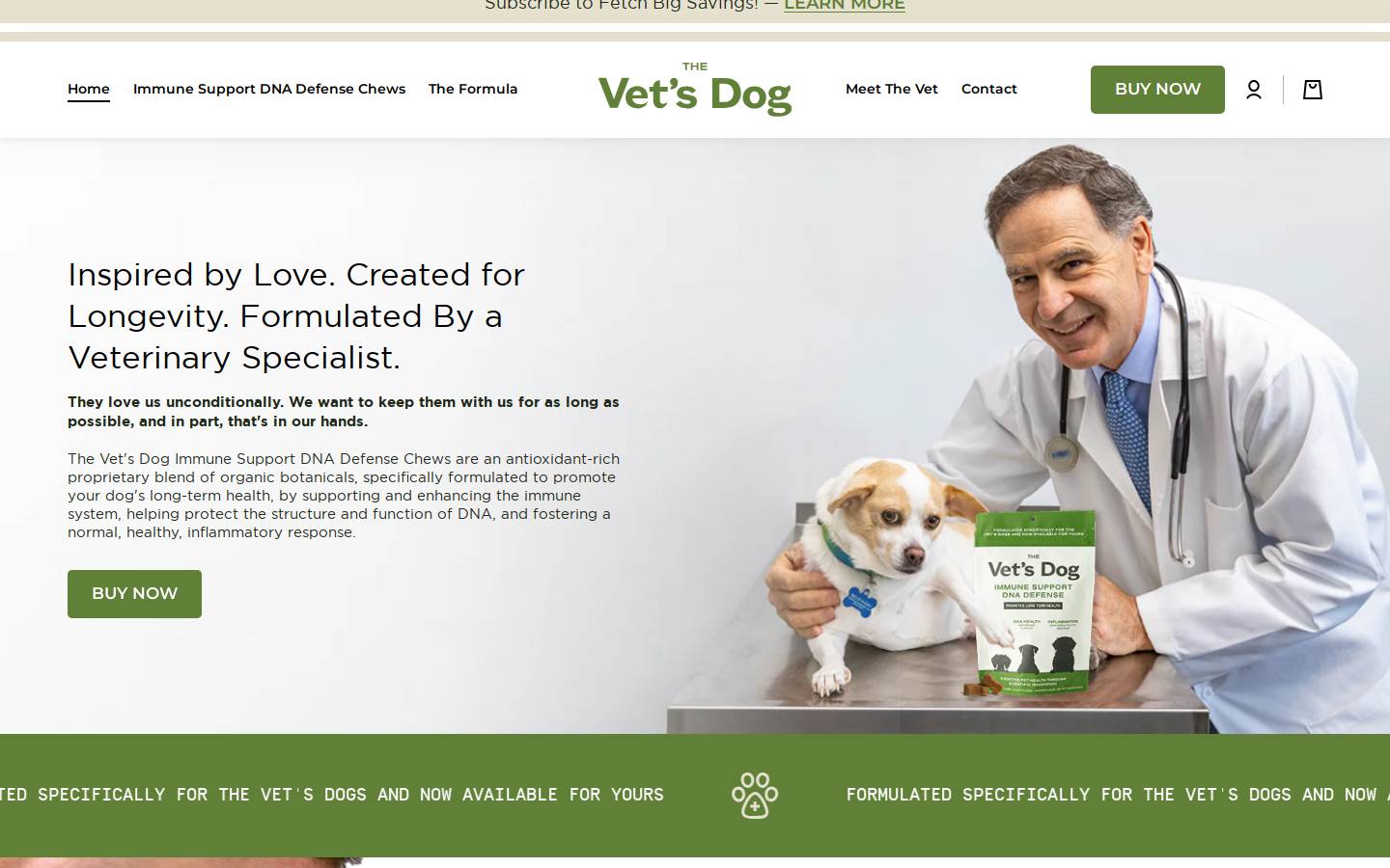 thevetsdog.store homepage screenshot