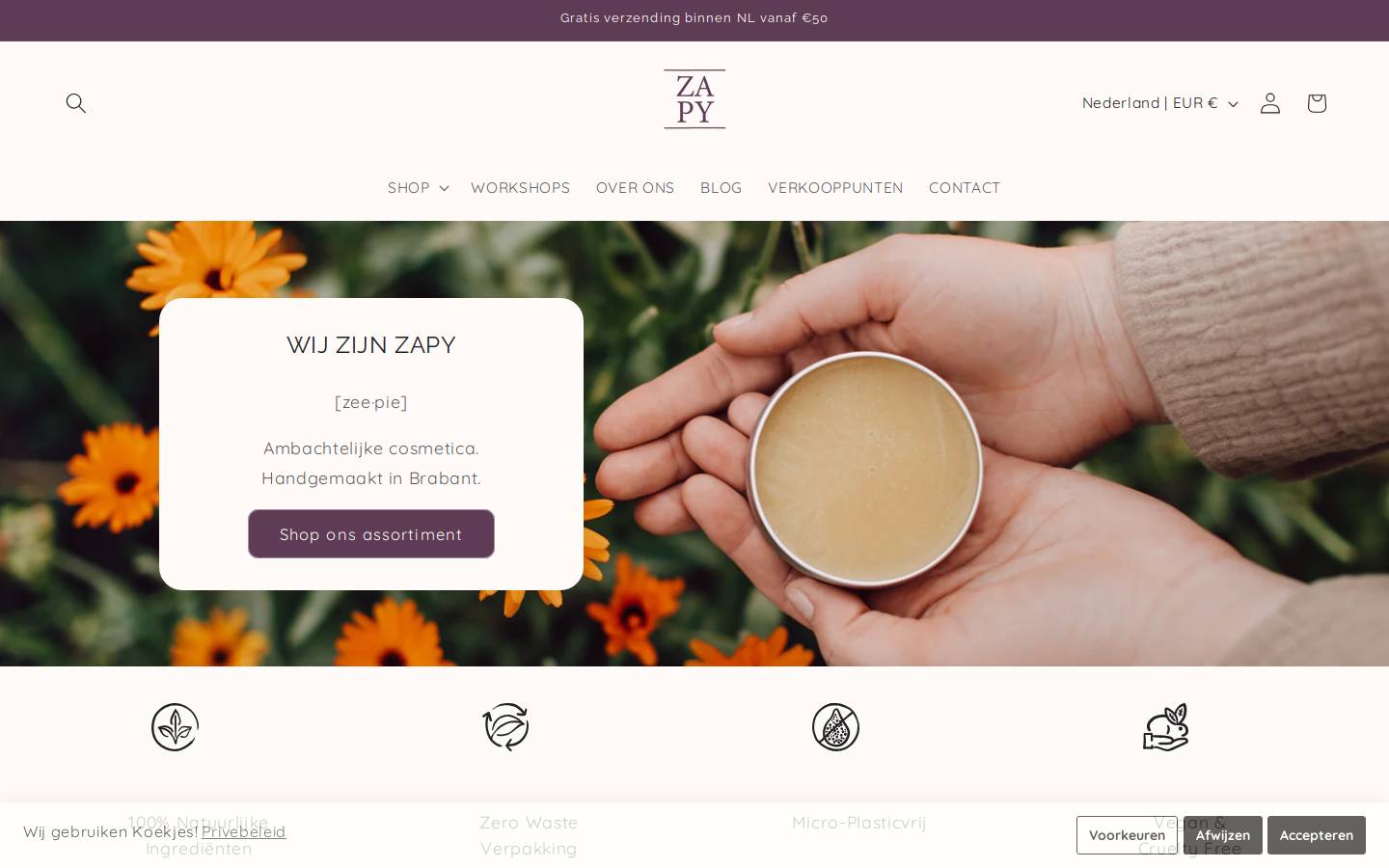 thezapystore.com homepage screenshot