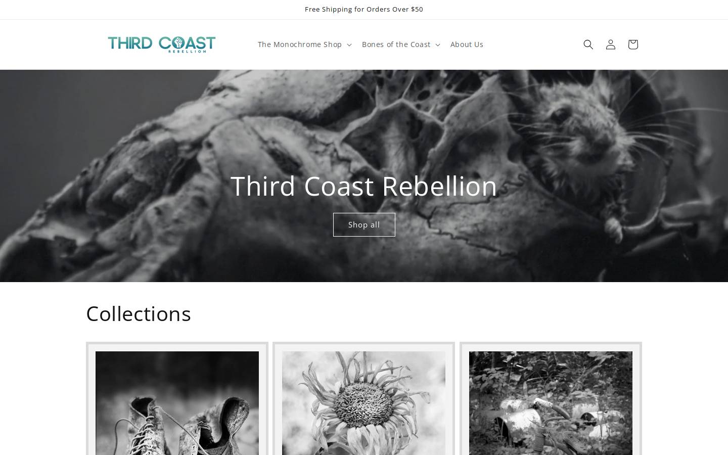 thirdcoastrebellion.com homepage screenshot