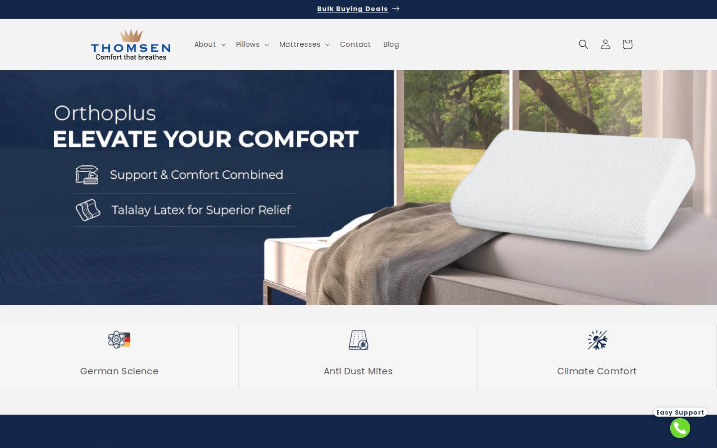 Thomsen India homepage screenshot