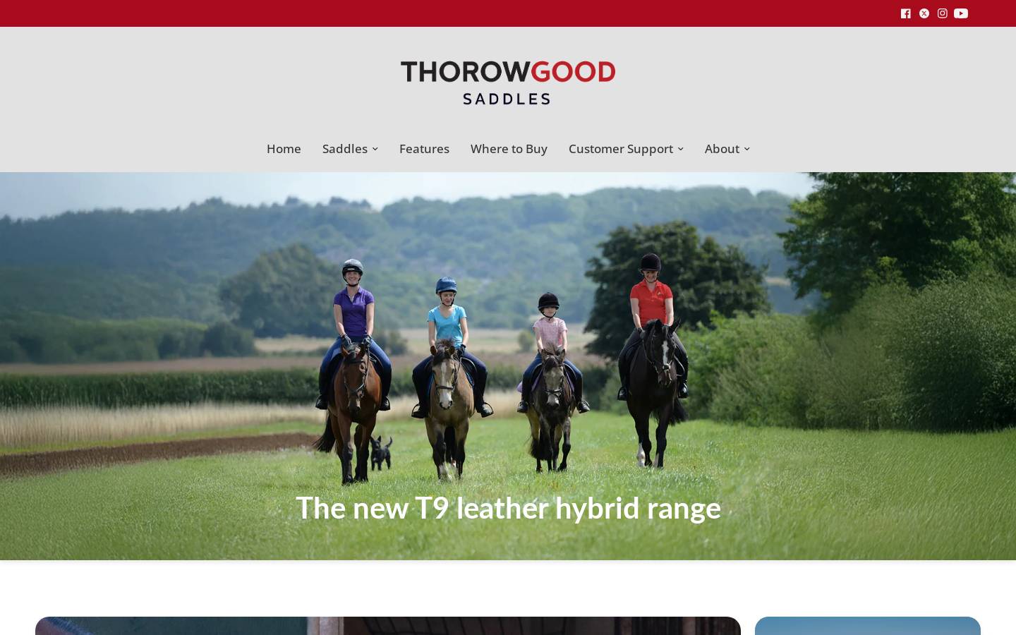 thorowgood.co.uk homepage screenshot