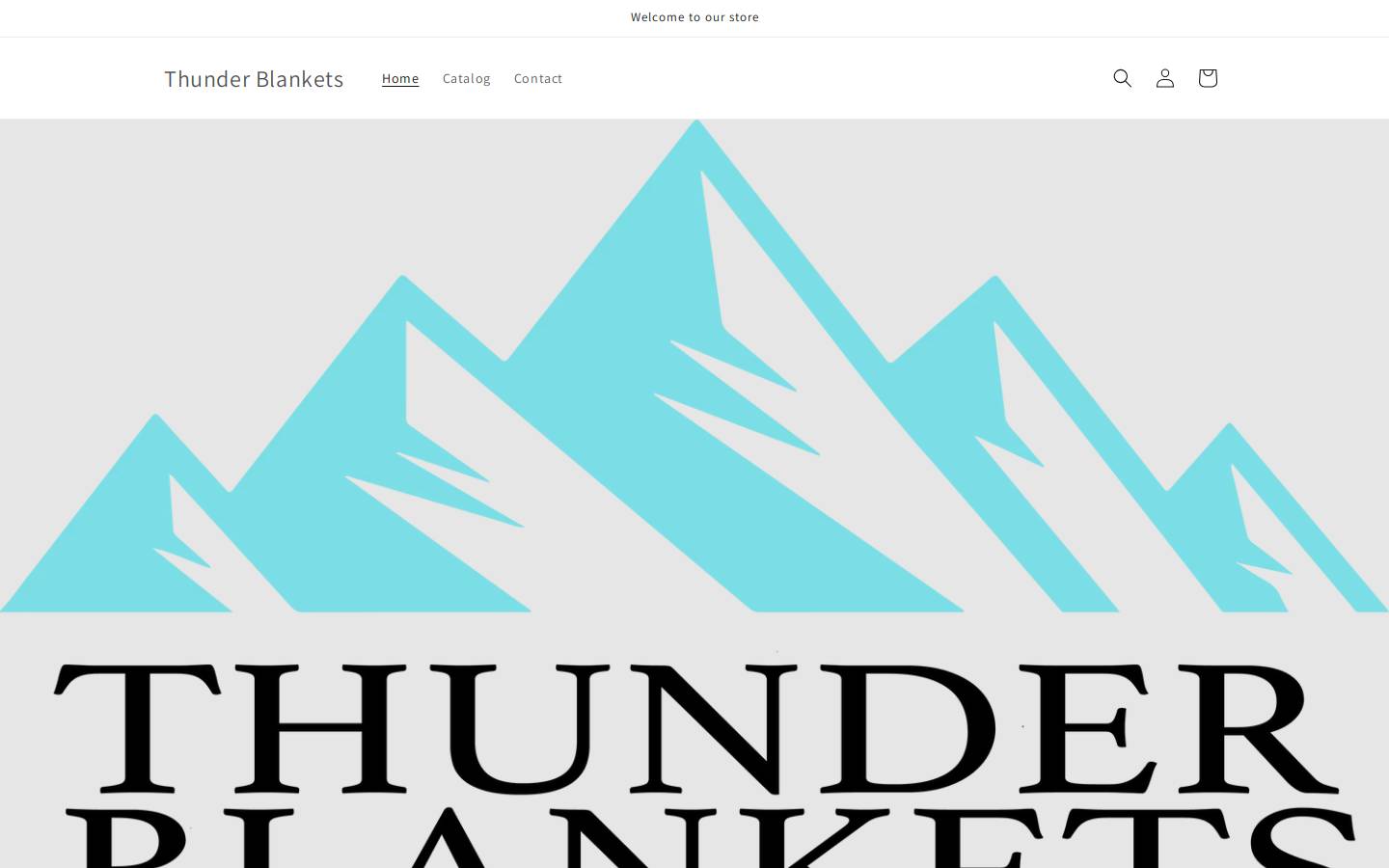 thunderblankets.store homepage screenshot
