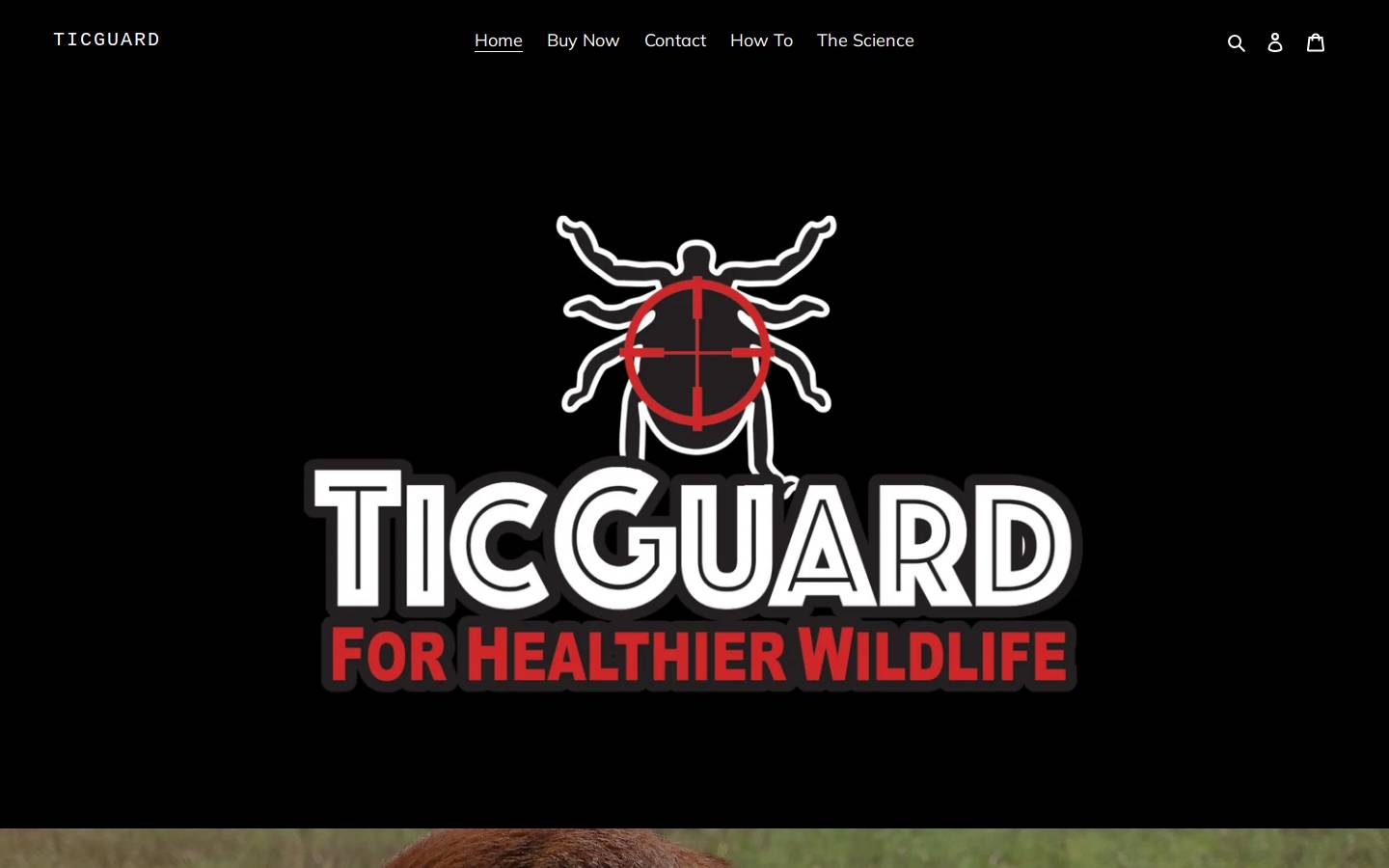 ticguard.com homepage screenshot