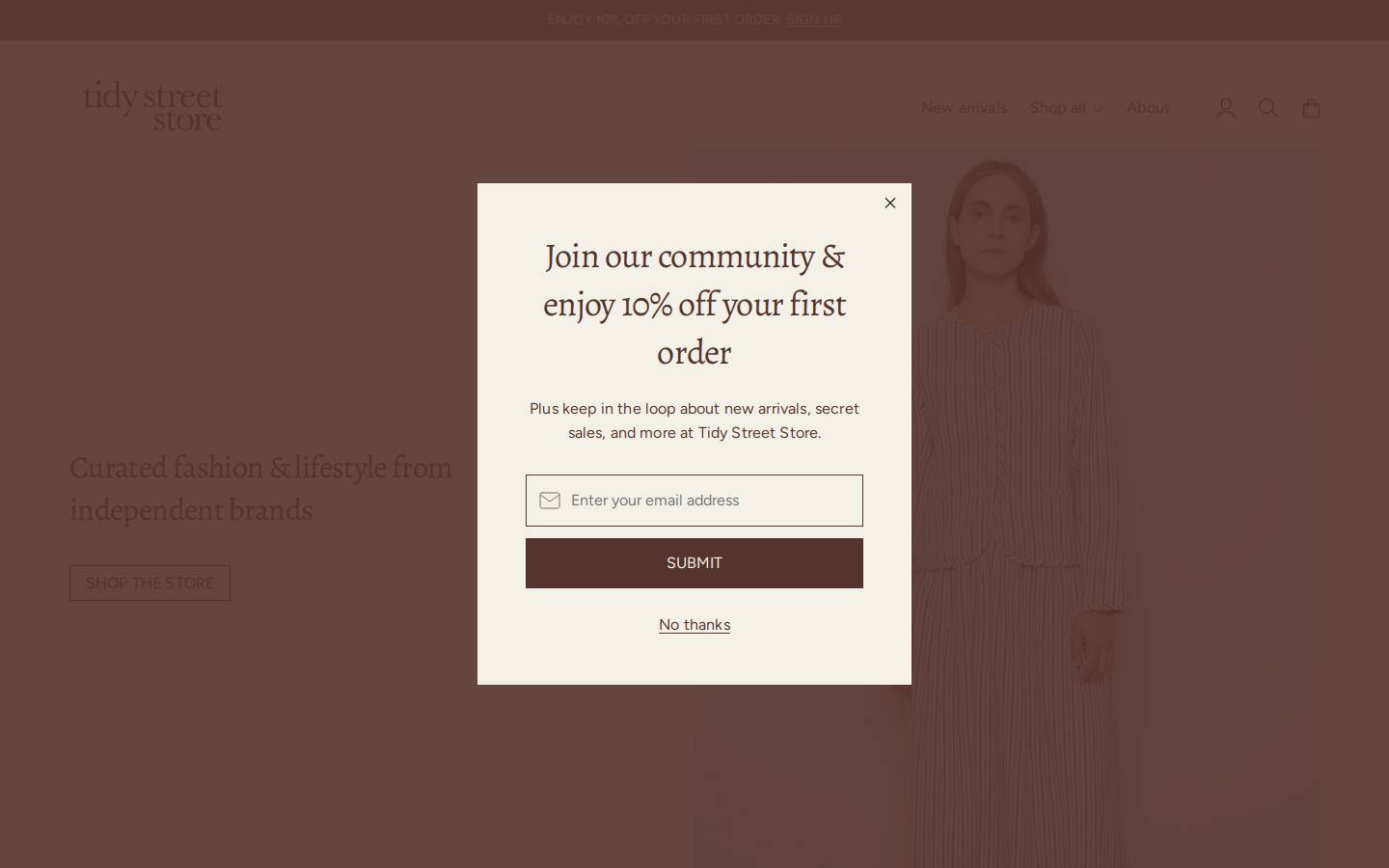 tidystreetstore.com homepage screenshot