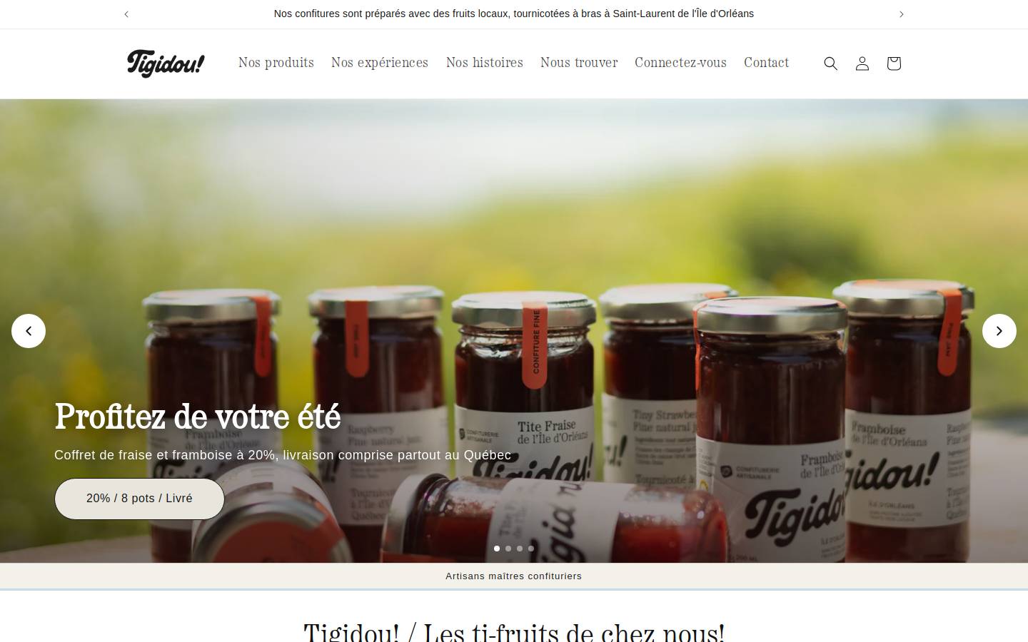 tigidou.ca homepage screenshot