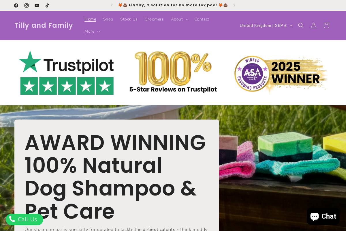 Tilly & Family  homepage screenshot