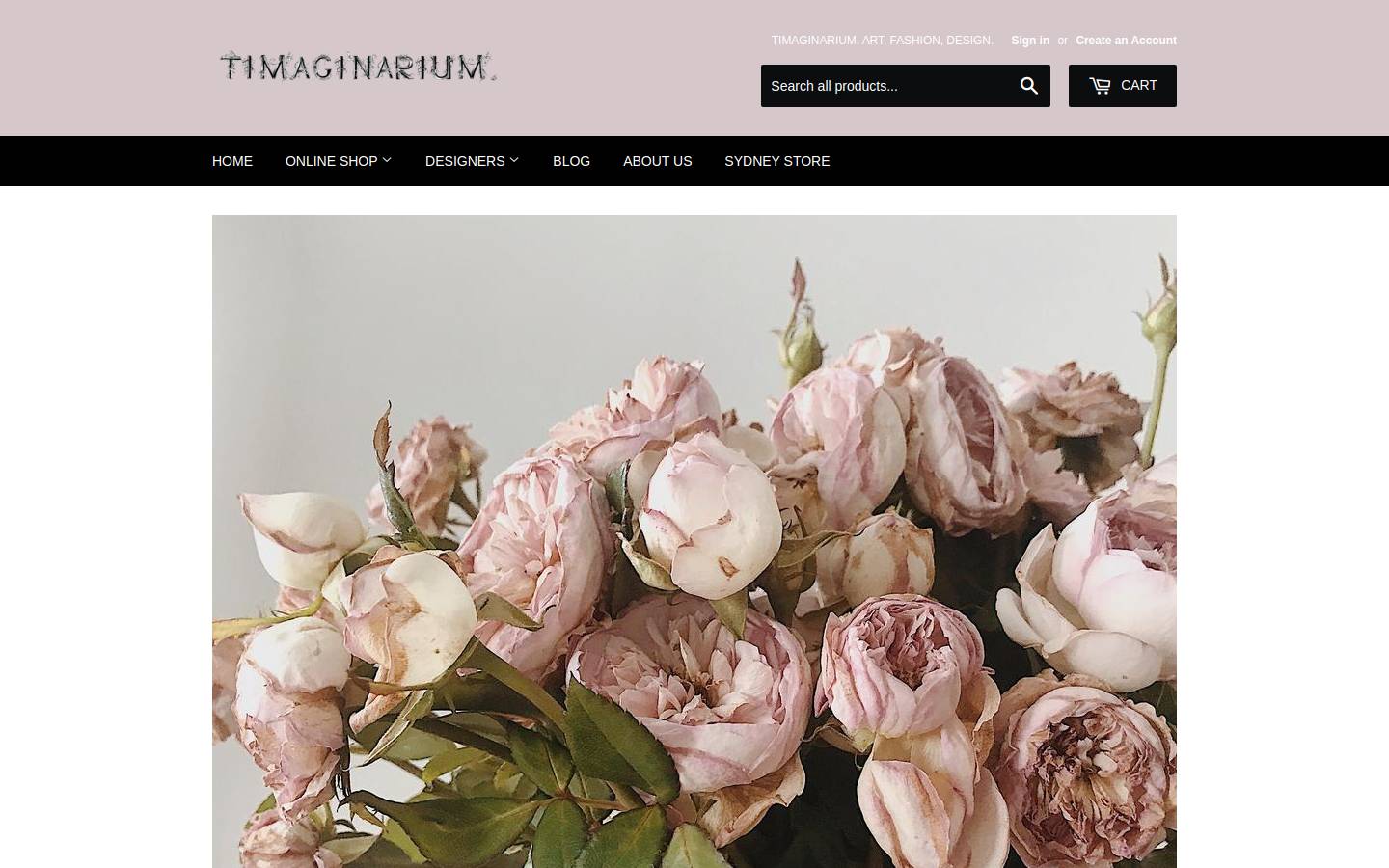 timaginarium.com homepage screenshot