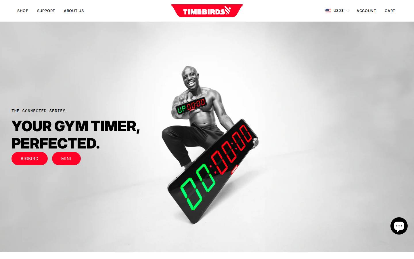timebirds.com homepage screenshot
