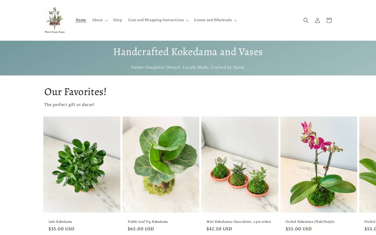 timelessvase.com homepage screenshot