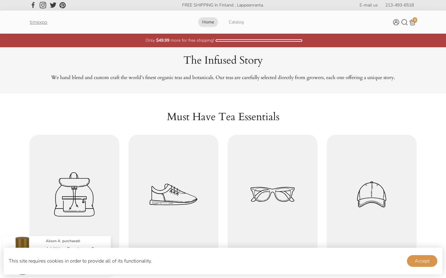 Timexpo homepage screenshot