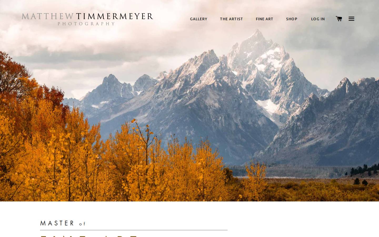 timmermeyergallery.com homepage screenshot