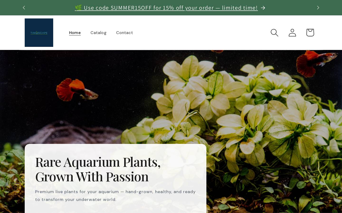 timoscape.com homepage screenshot
