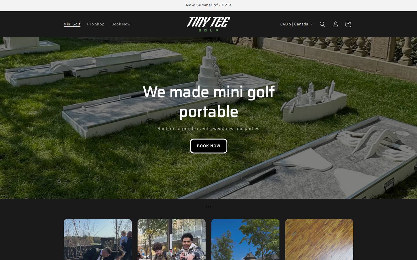 tinyteegolf.com homepage screenshot