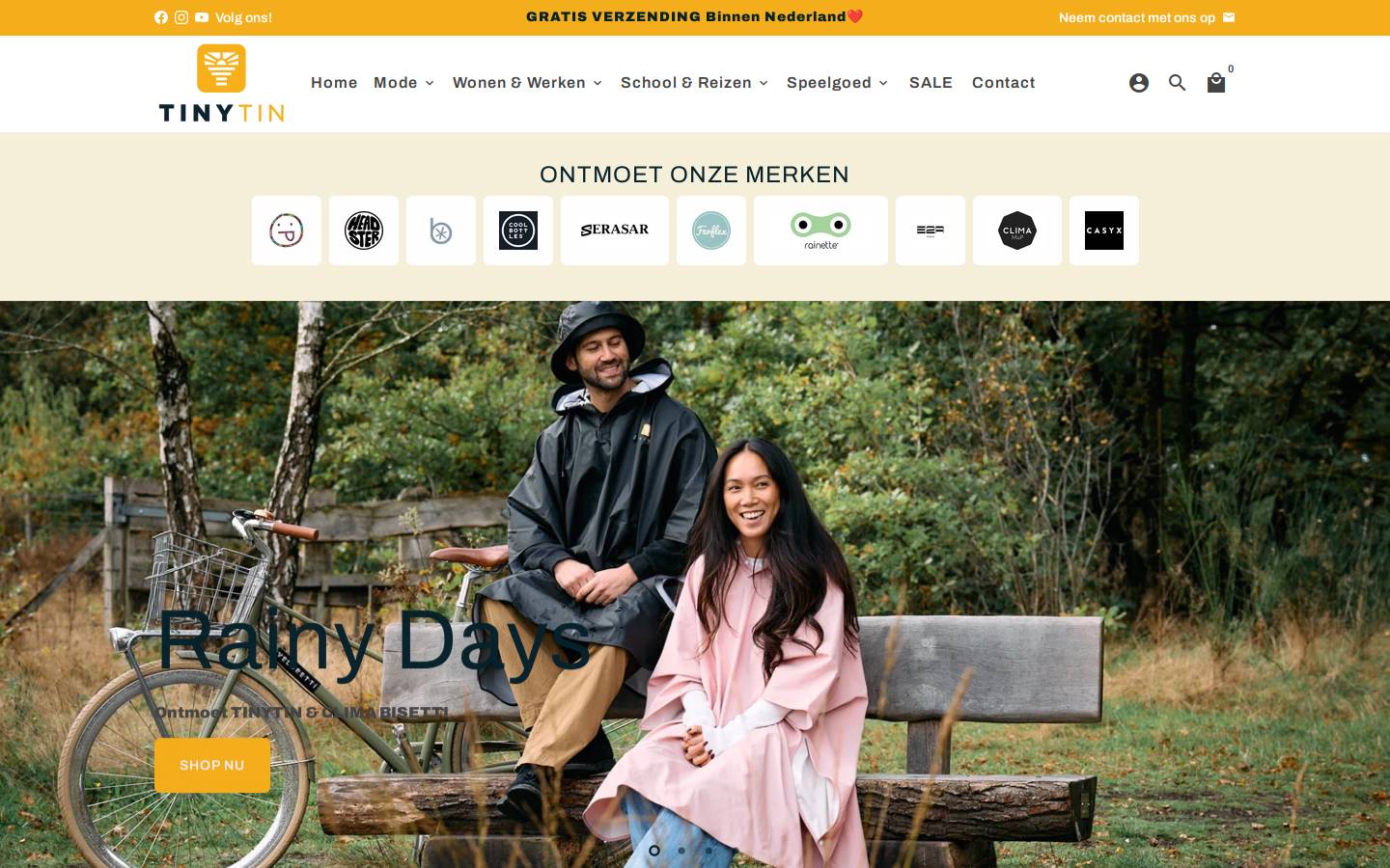 TinyTin homepage screenshot