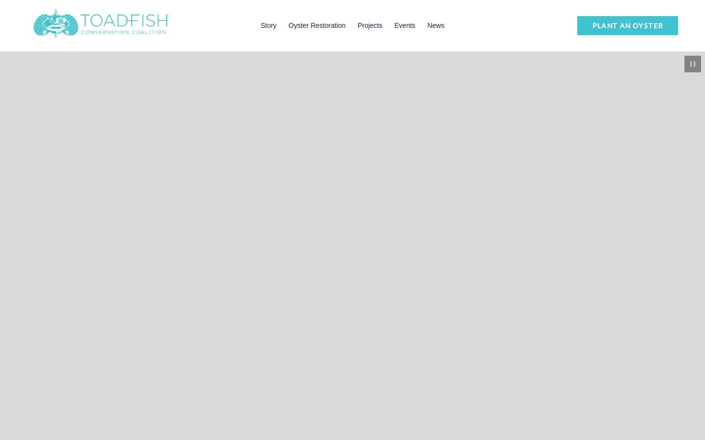 toadfishconservationcoalition.org homepage screenshot
