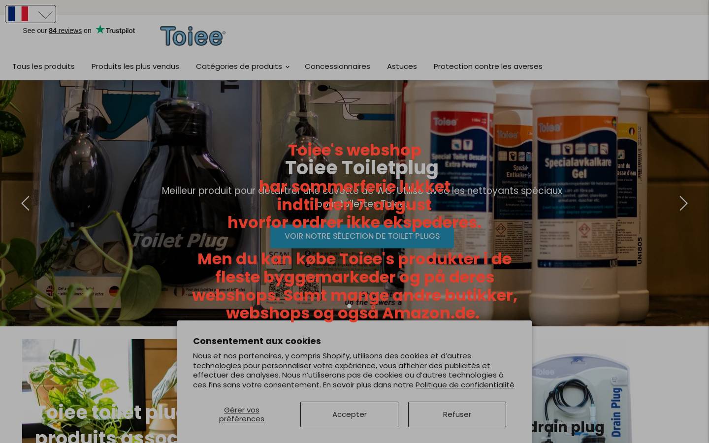 toiee.fr homepage screenshot