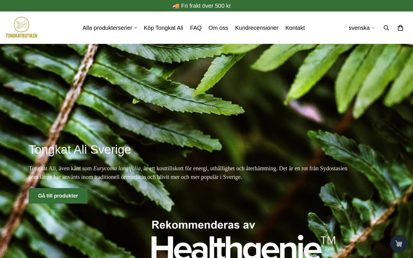 tongkatbutiken.se homepage screenshot