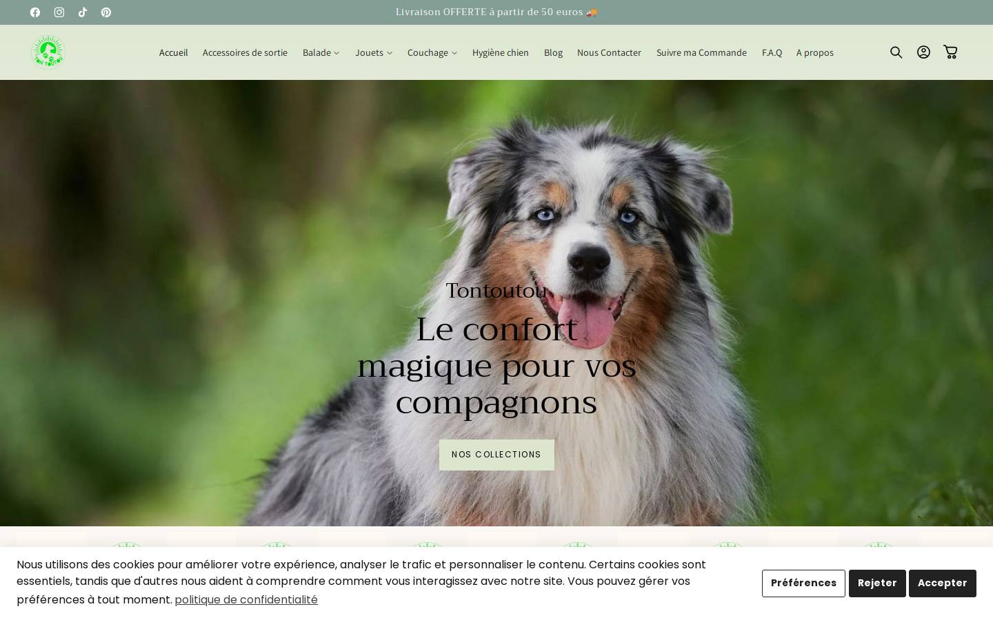 Tontoutou homepage screenshot