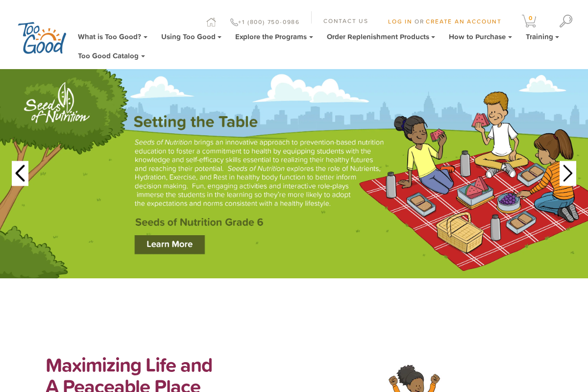 Mendez Foundation homepage screenshot