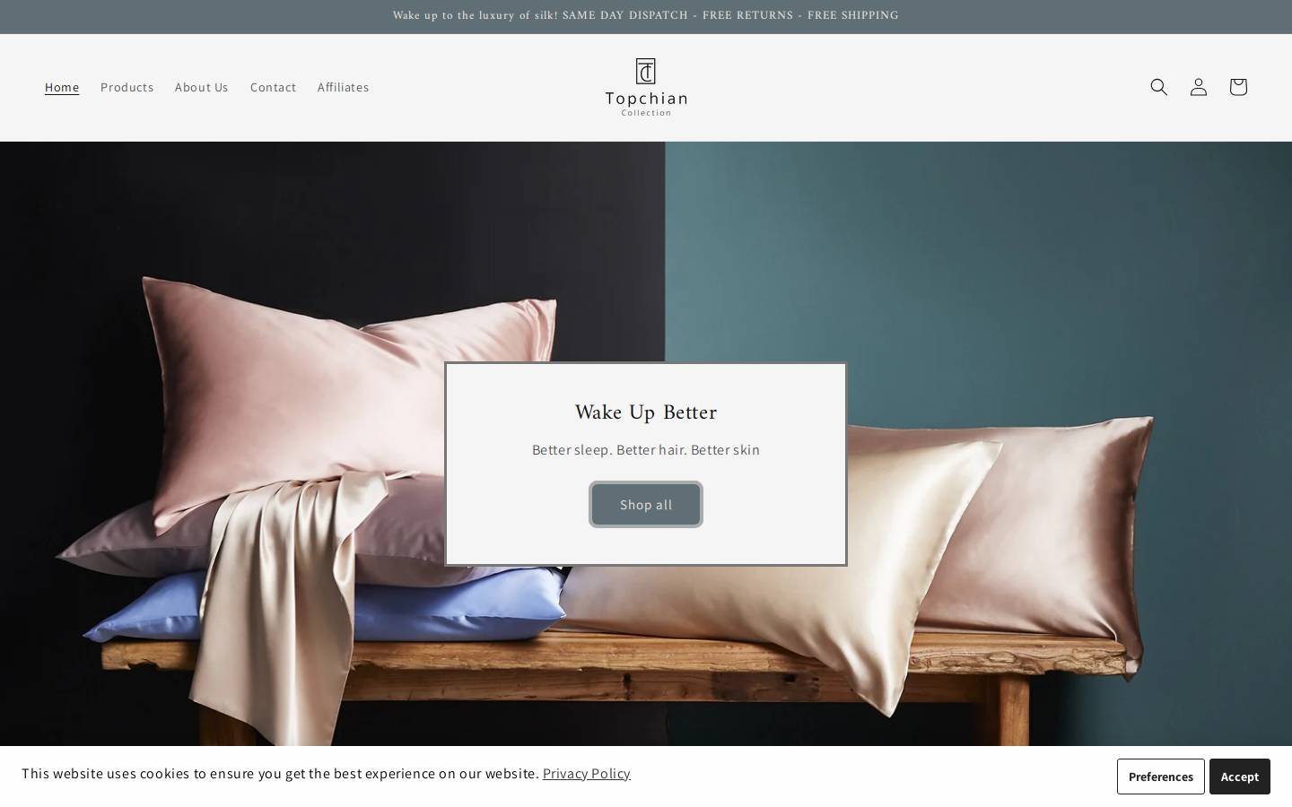 topchian.com homepage screenshot