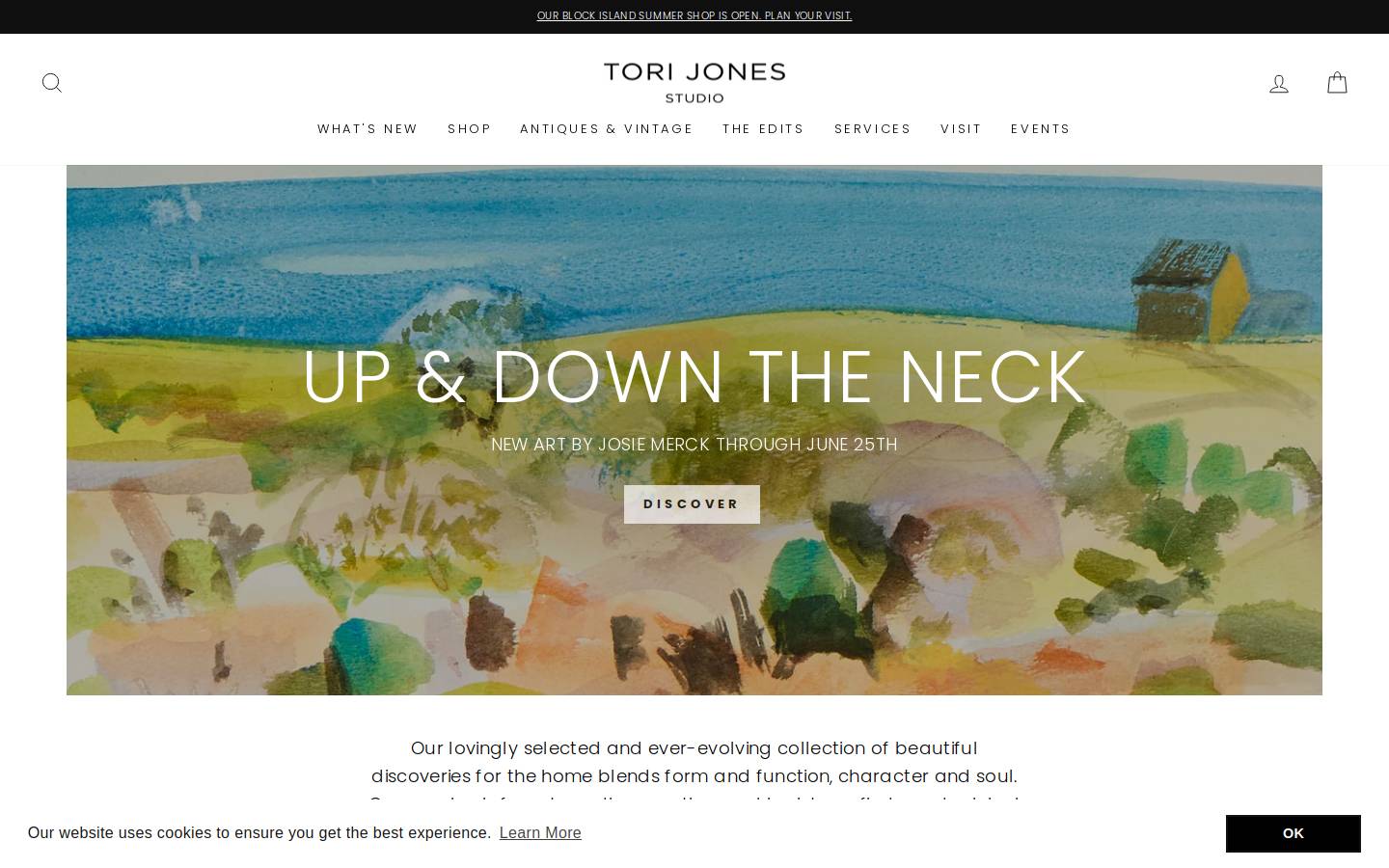 torijonesstudio.com homepage screenshot
