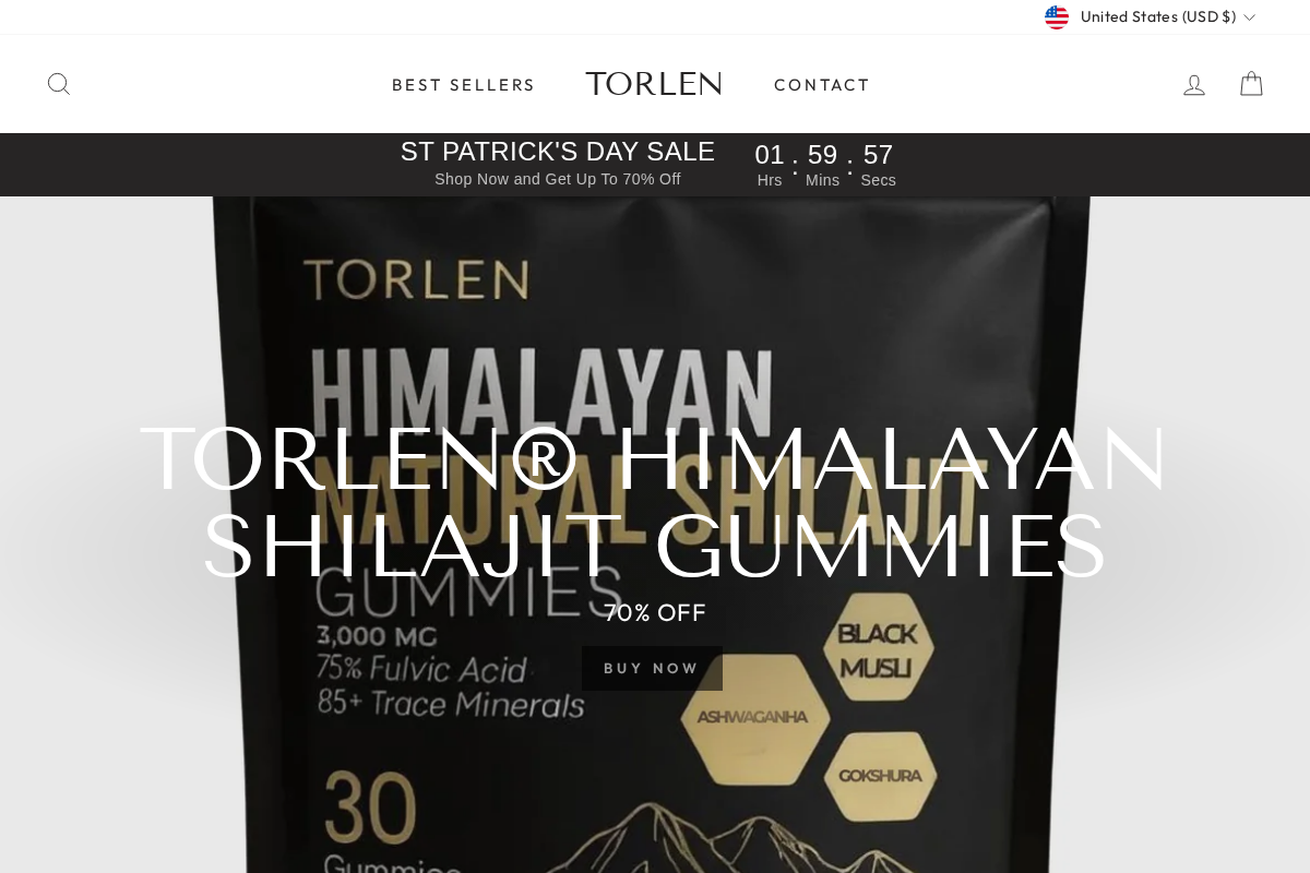 Torlen homepage screenshot
