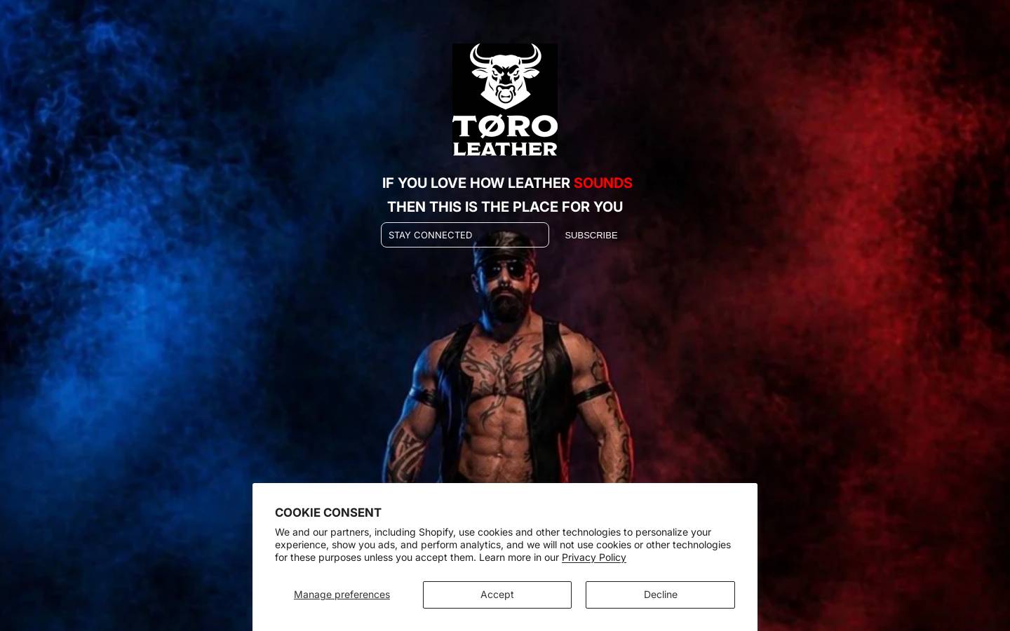 toro-leather.com homepage screenshot