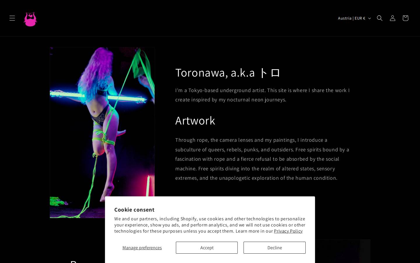 toronawa.com homepage screenshot