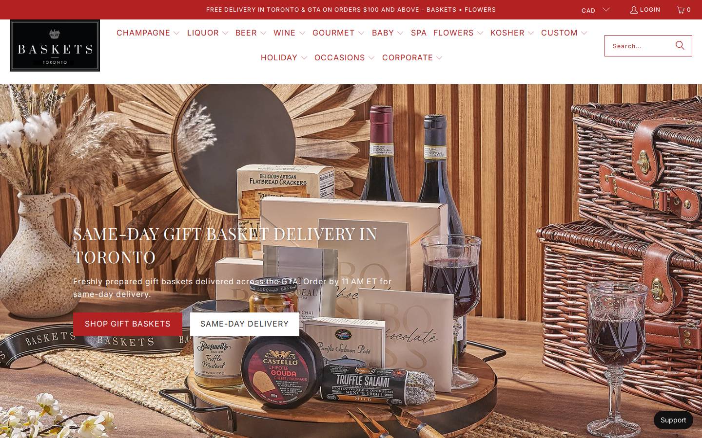 Toronto Baskets homepage screenshot