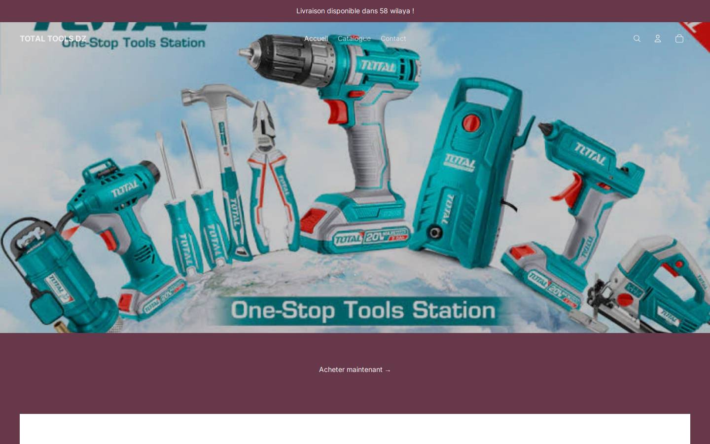 totaltoolsdz.com homepage screenshot