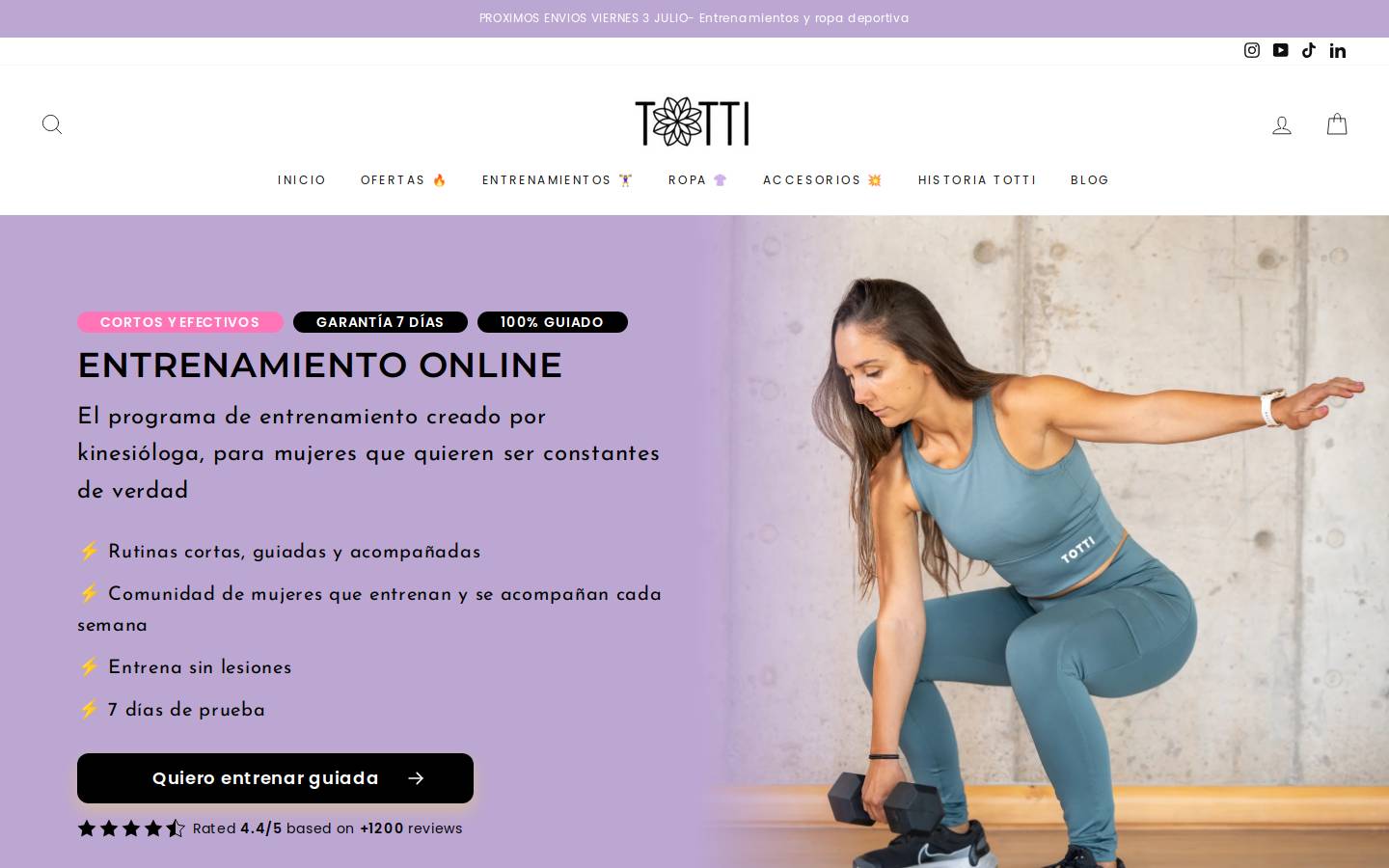 totti.cl homepage screenshot