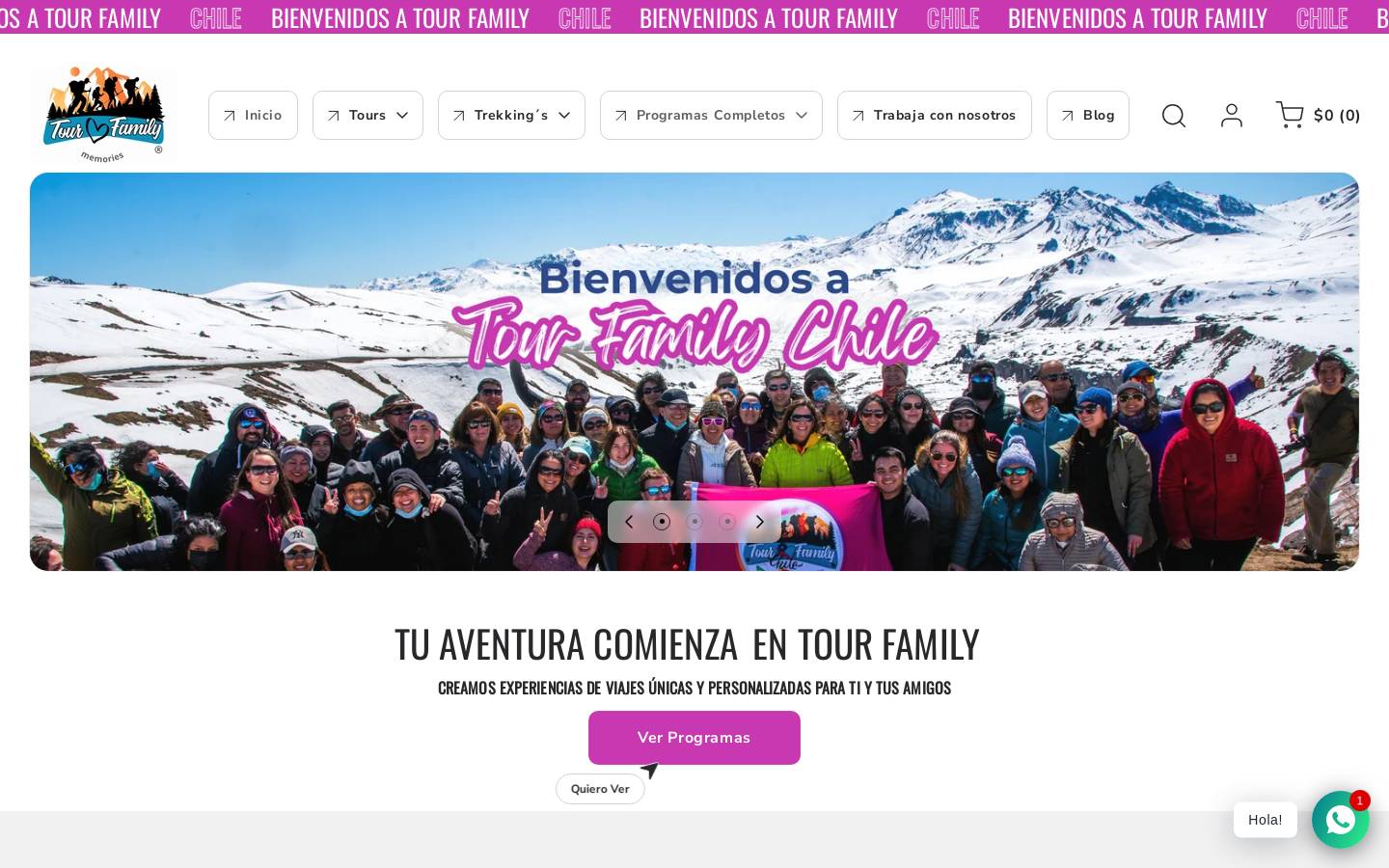 tourfamilychile.com homepage screenshot