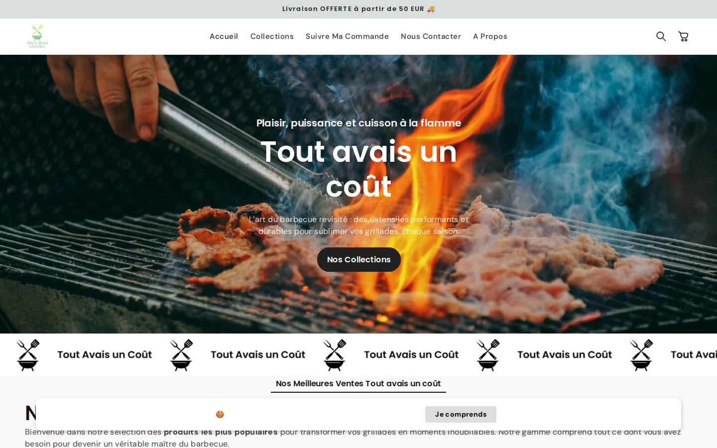 Toutavaisuncout homepage screenshot