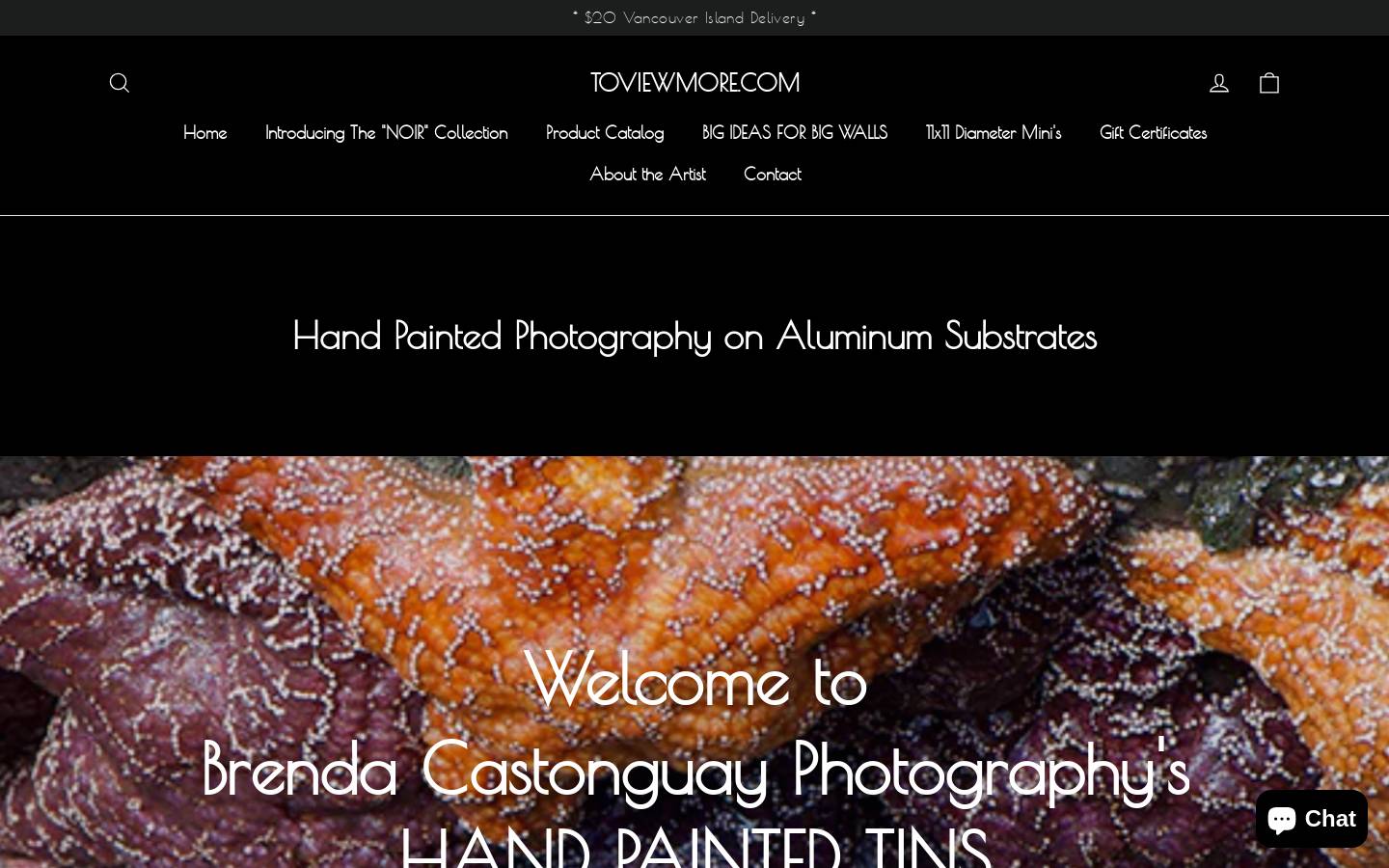 toviewmore.com homepage screenshot