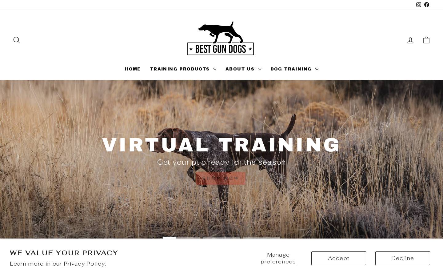 trainhuntingdogs.com homepage screenshot