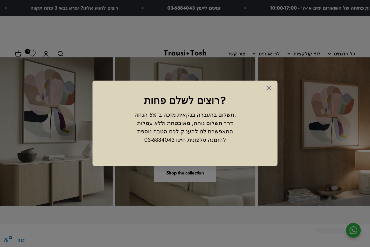 Trausi and tosh homepage screenshot