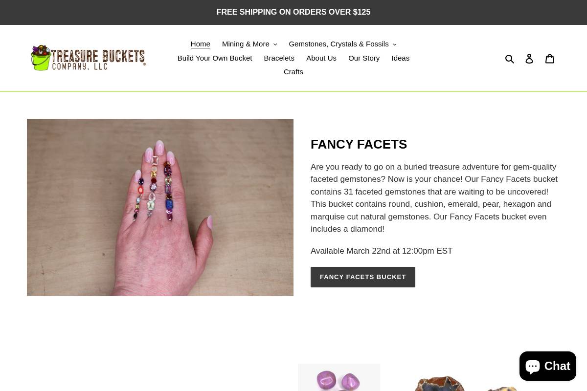 treasurebucketsco.com homepage screenshot