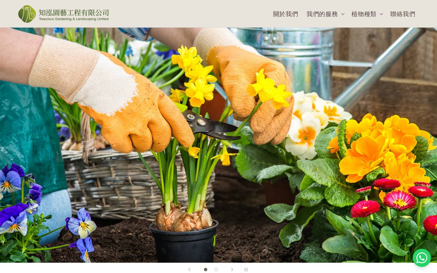 treecious.info homepage screenshot