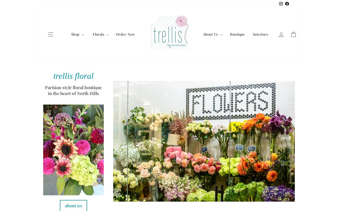 trellisraleigh.com homepage screenshot