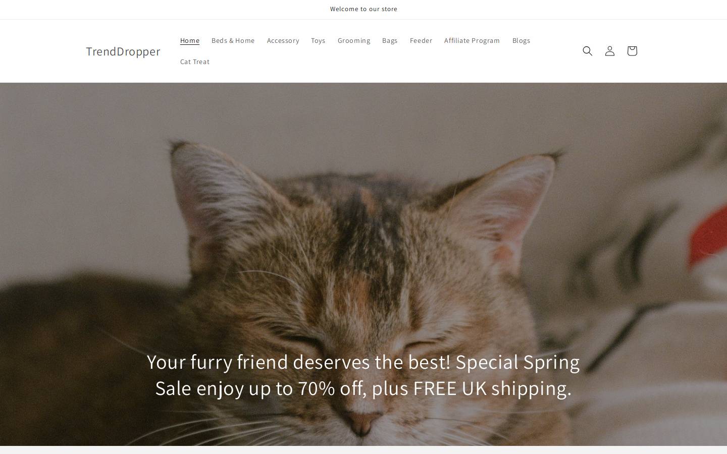 trenddropper.com homepage screenshot