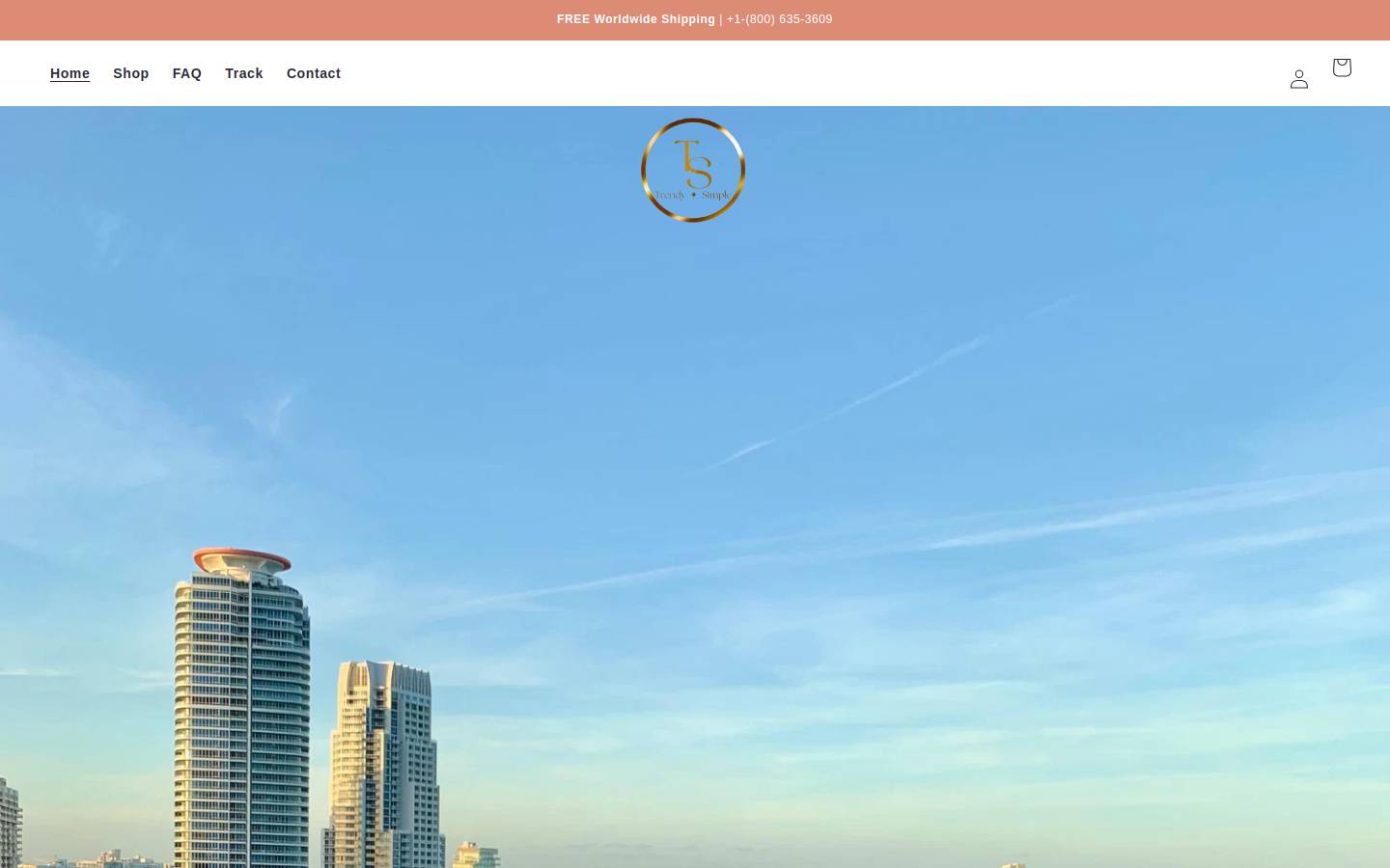 trendysimpleproducts.com homepage screenshot