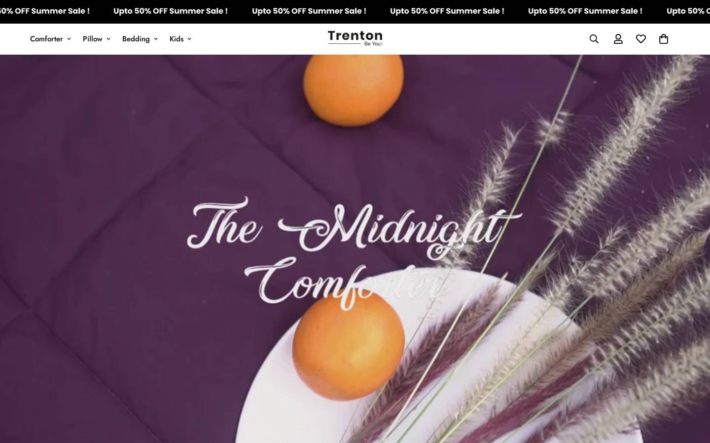 trentonindia.com homepage screenshot
