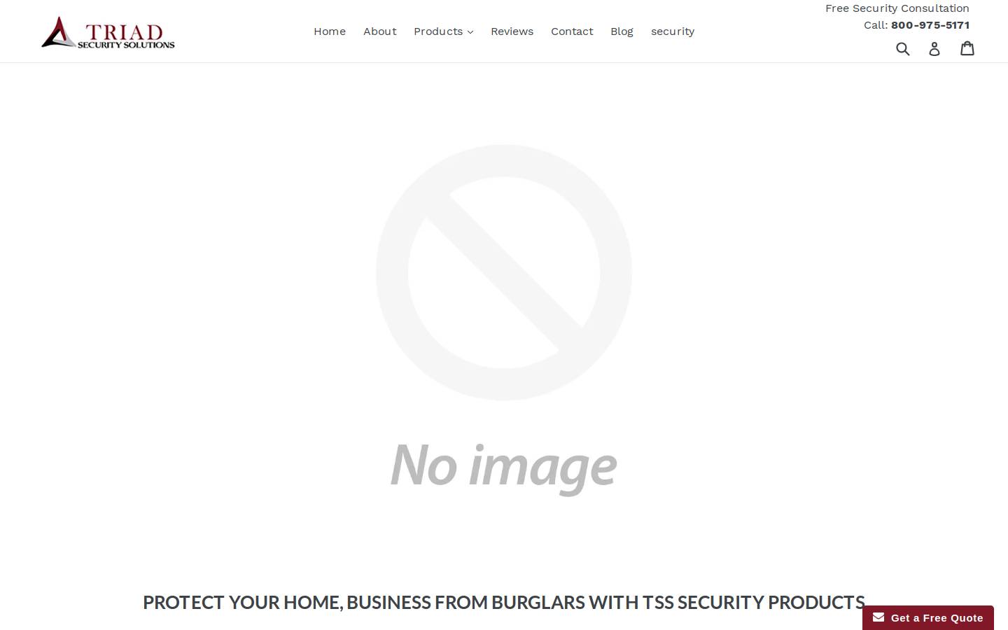 triadsecuritysolutions.com homepage screenshot