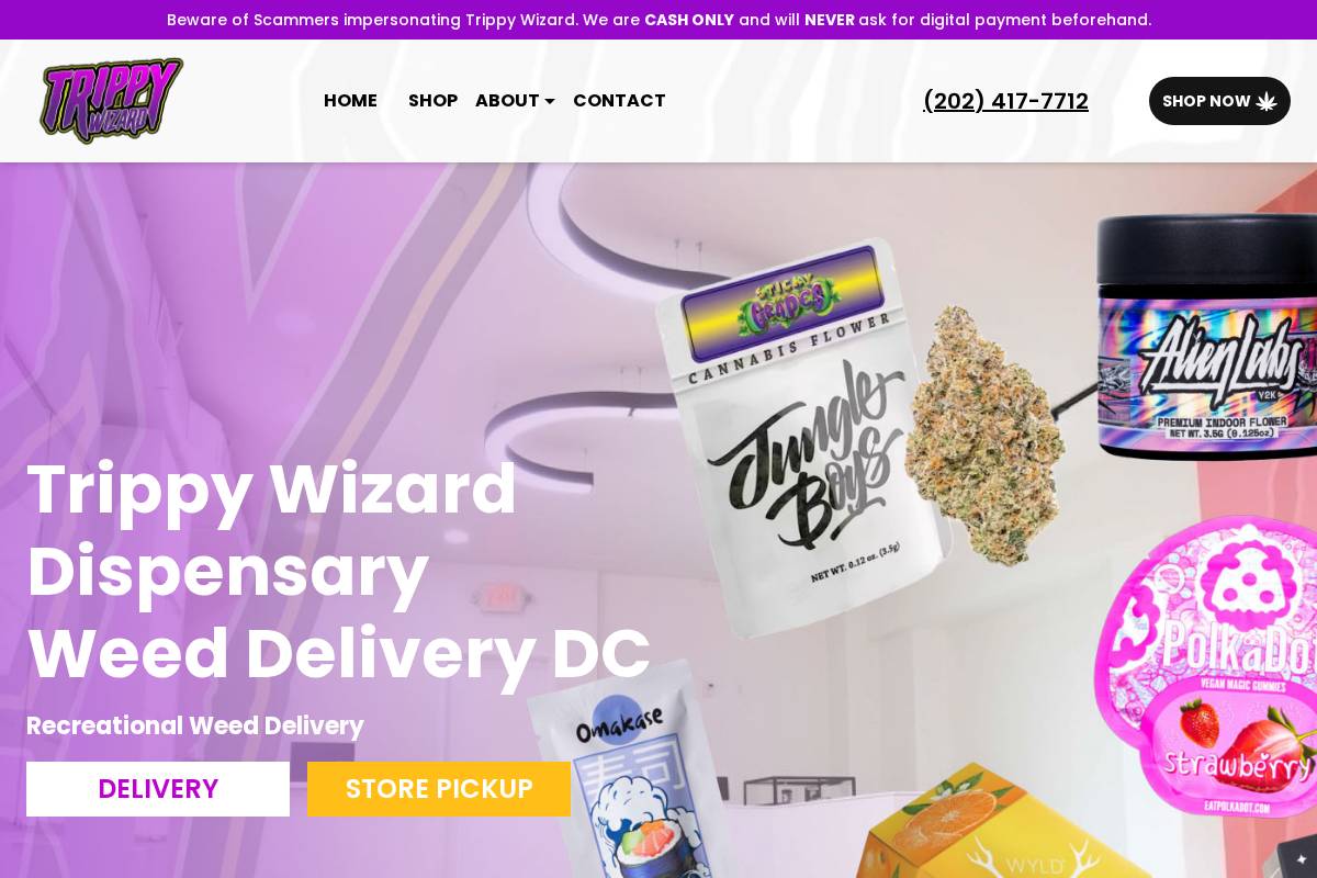 trippywizarddc.com homepage screenshot